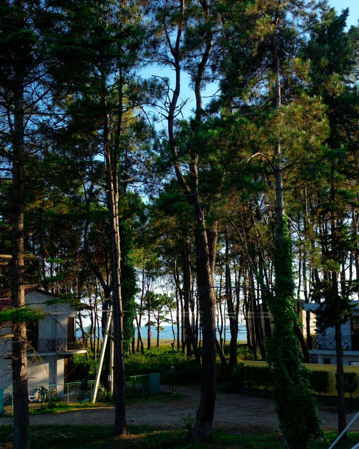 Restcoast Villa Shekvetili Extérieur photo